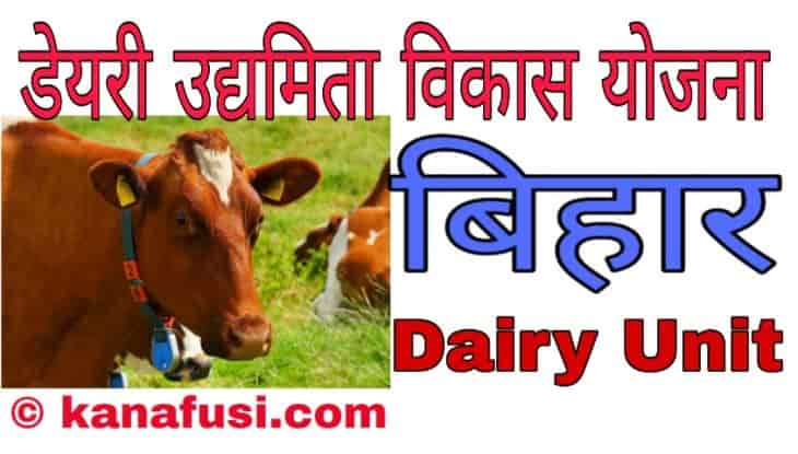 Dairy Udyamita Vikas Yojana Bihar Me Apply Kaise Kare In Hindi