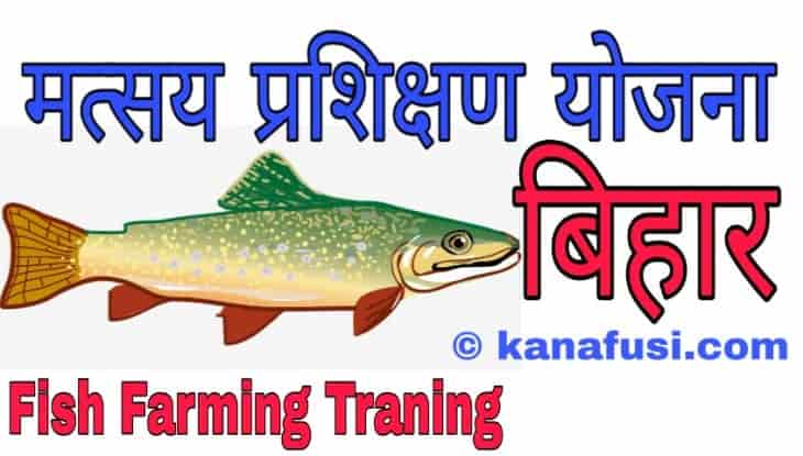 Machli Palan Training Bihar Me Kaise Le in Hindi