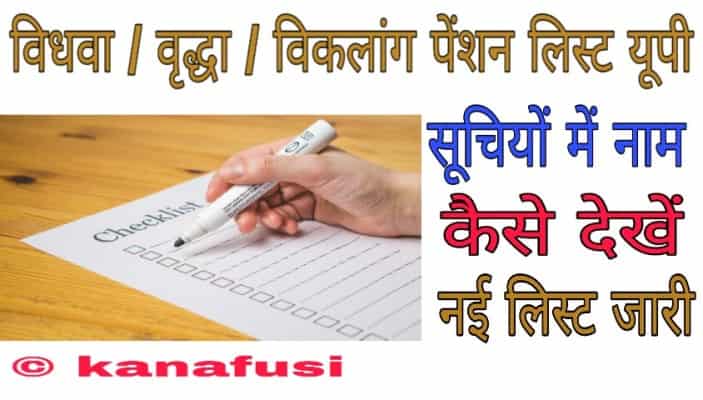 How to Check Vidhwa Virdha Viklang Pension List Uttar Pradesh in Hindi
