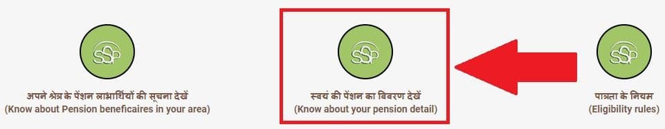 Samajik Suraksha Pension List Check Status